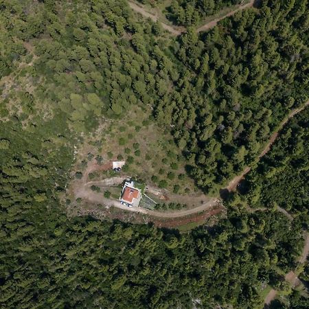 Dream House Capturing The Magic Of Nature Vlachia 외부 사진