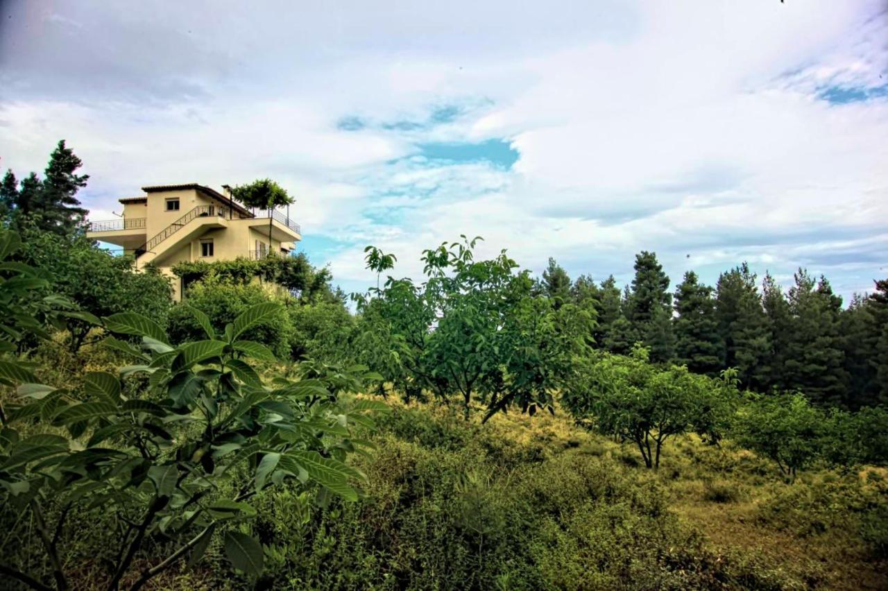 Dream House Capturing The Magic Of Nature Vlachia 외부 사진