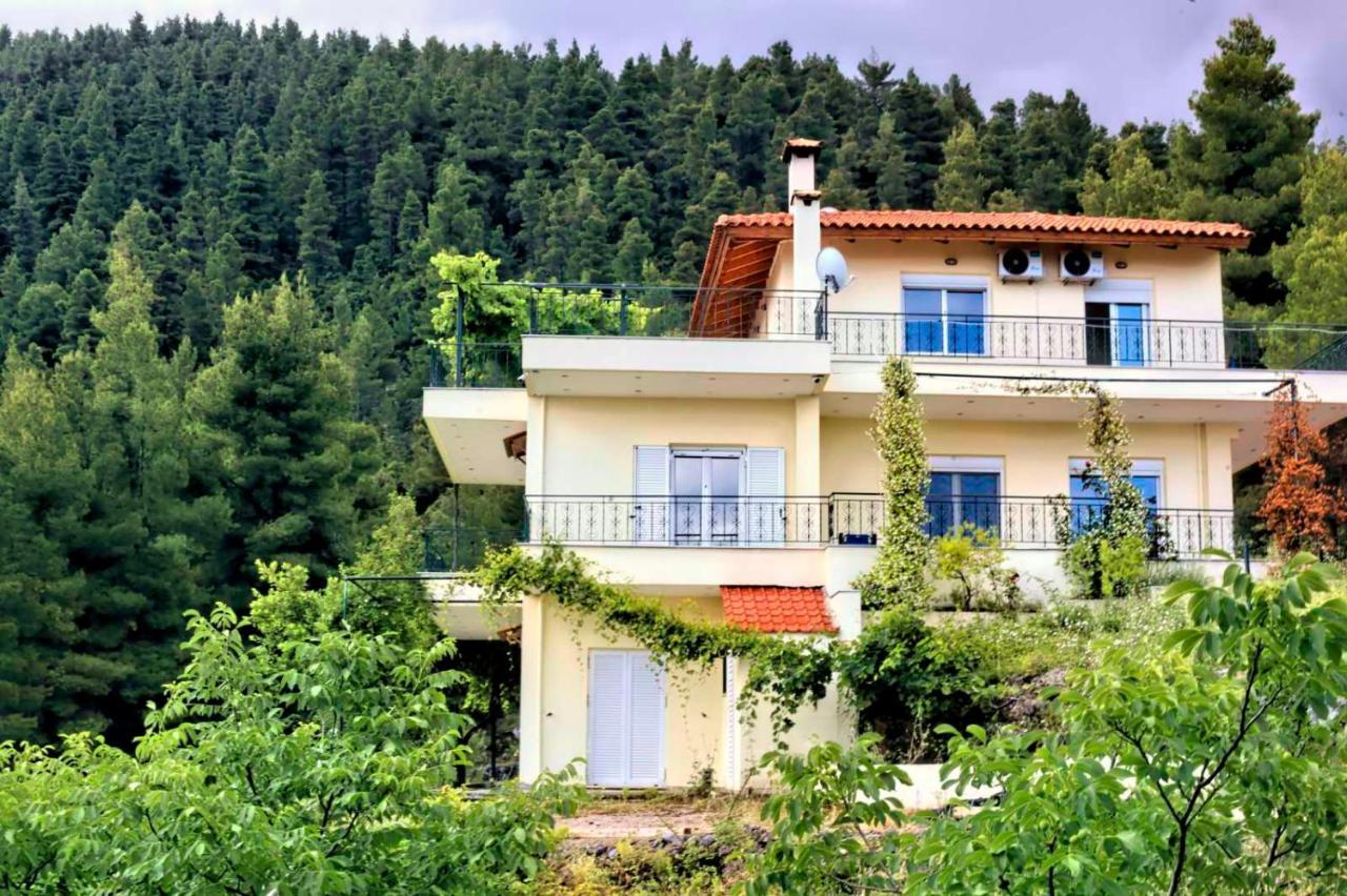 Dream House Capturing The Magic Of Nature Vlachia 외부 사진