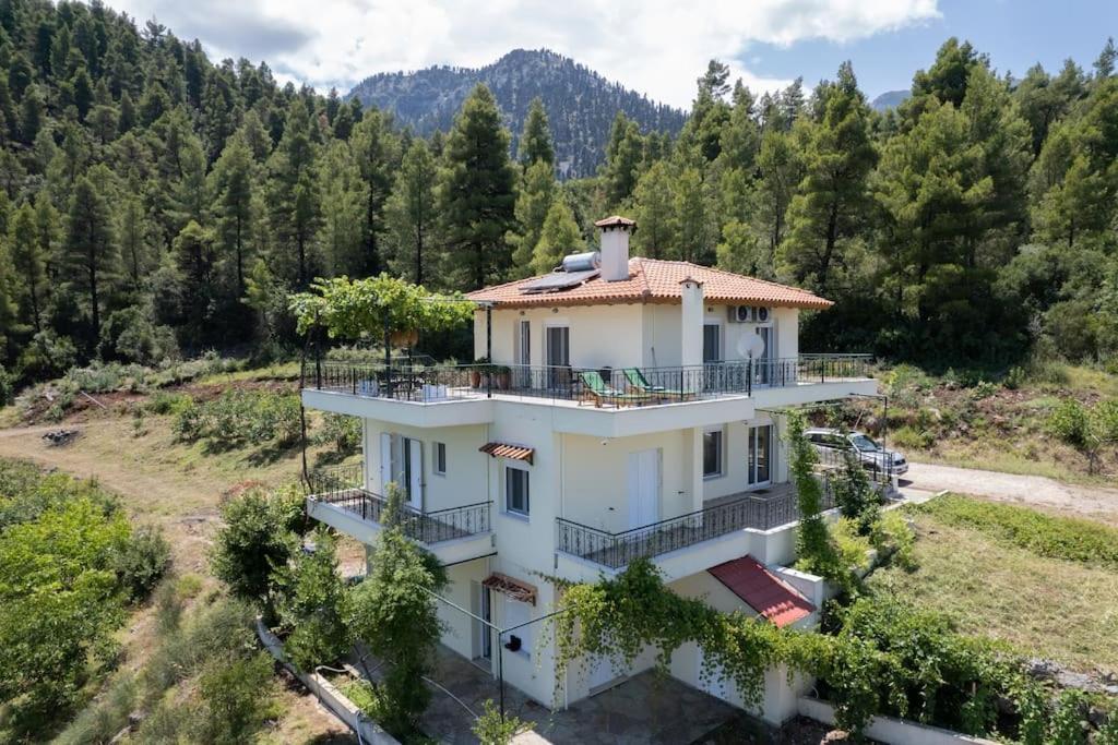 Dream House Capturing The Magic Of Nature Vlachia 외부 사진