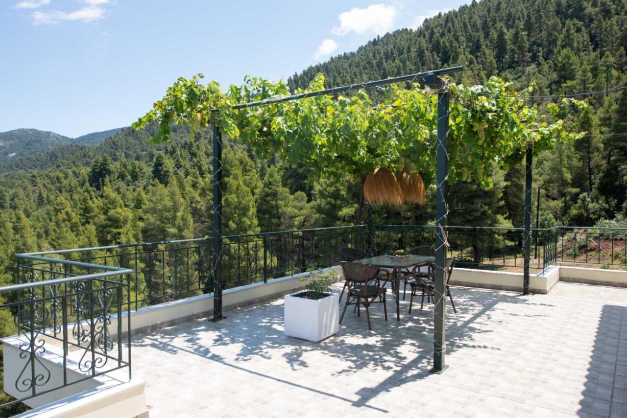 Dream House Capturing The Magic Of Nature Vlachia 외부 사진