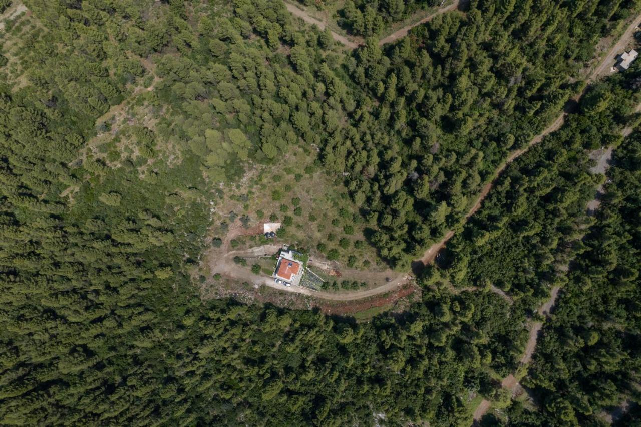Dream House Capturing The Magic Of Nature Vlachia 외부 사진