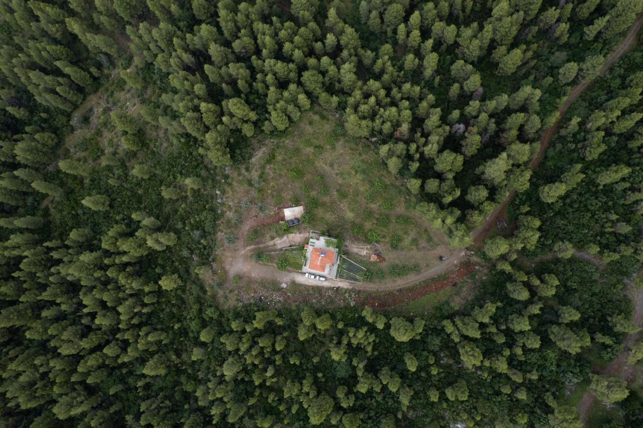 Dream House Capturing The Magic Of Nature Vlachia 외부 사진